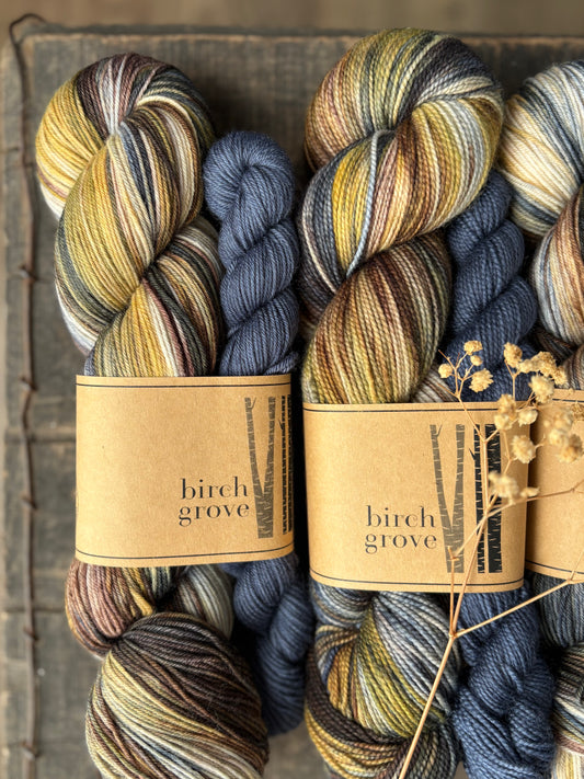 Forage Sock Set - Fingering