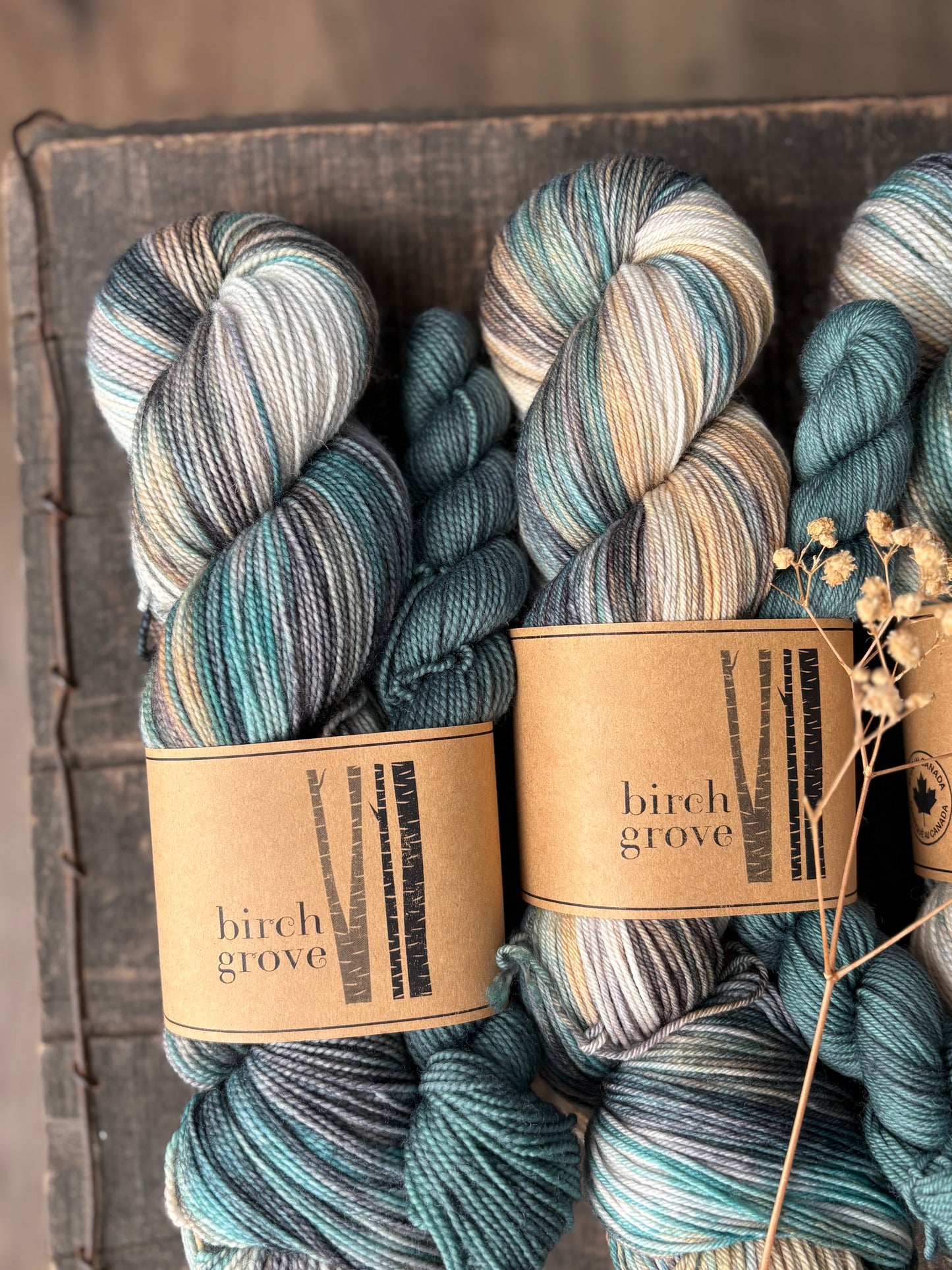 Lakeside Sock Set - Fingering