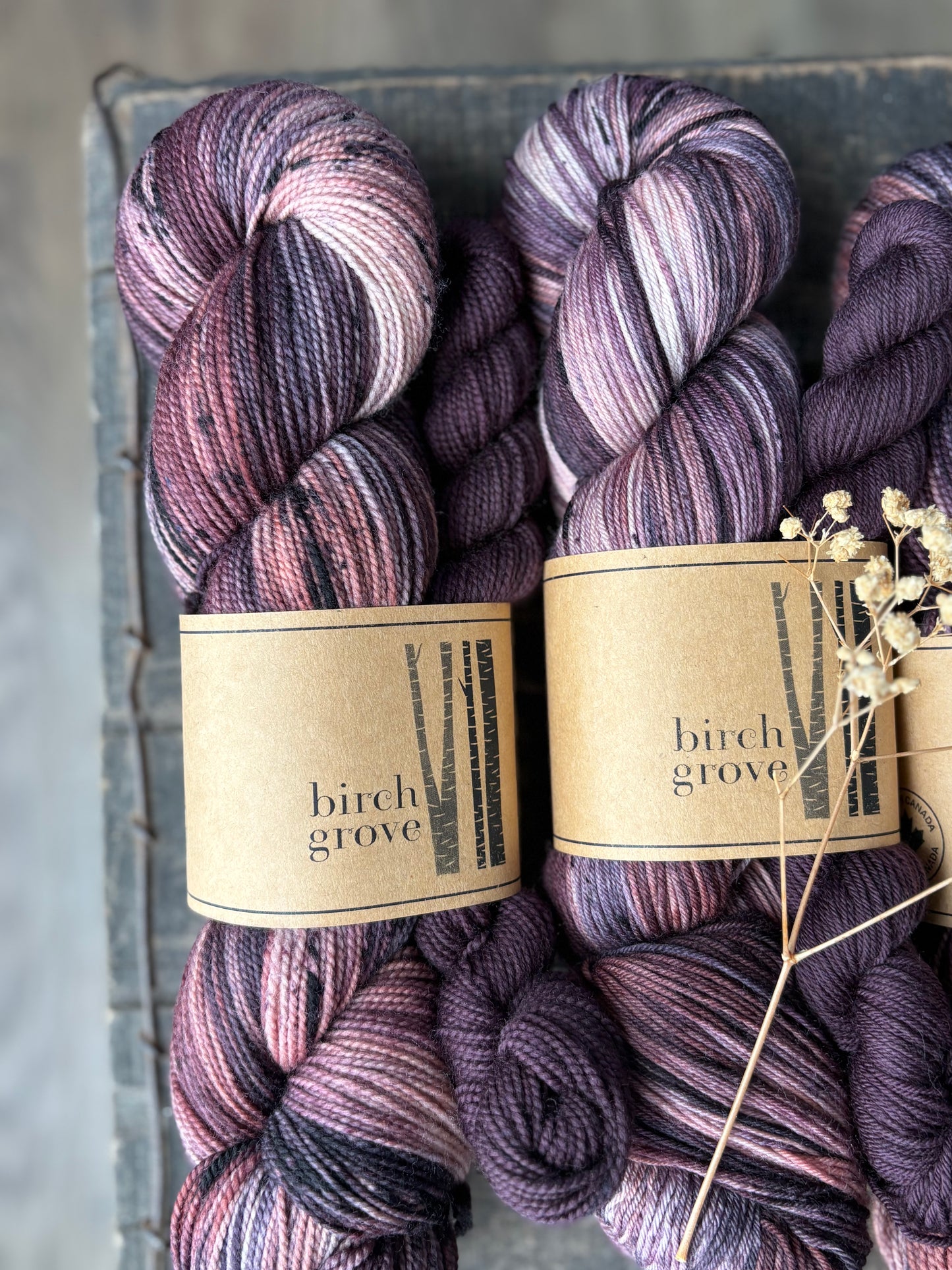 Harvest Berry Sock Set - Fingering