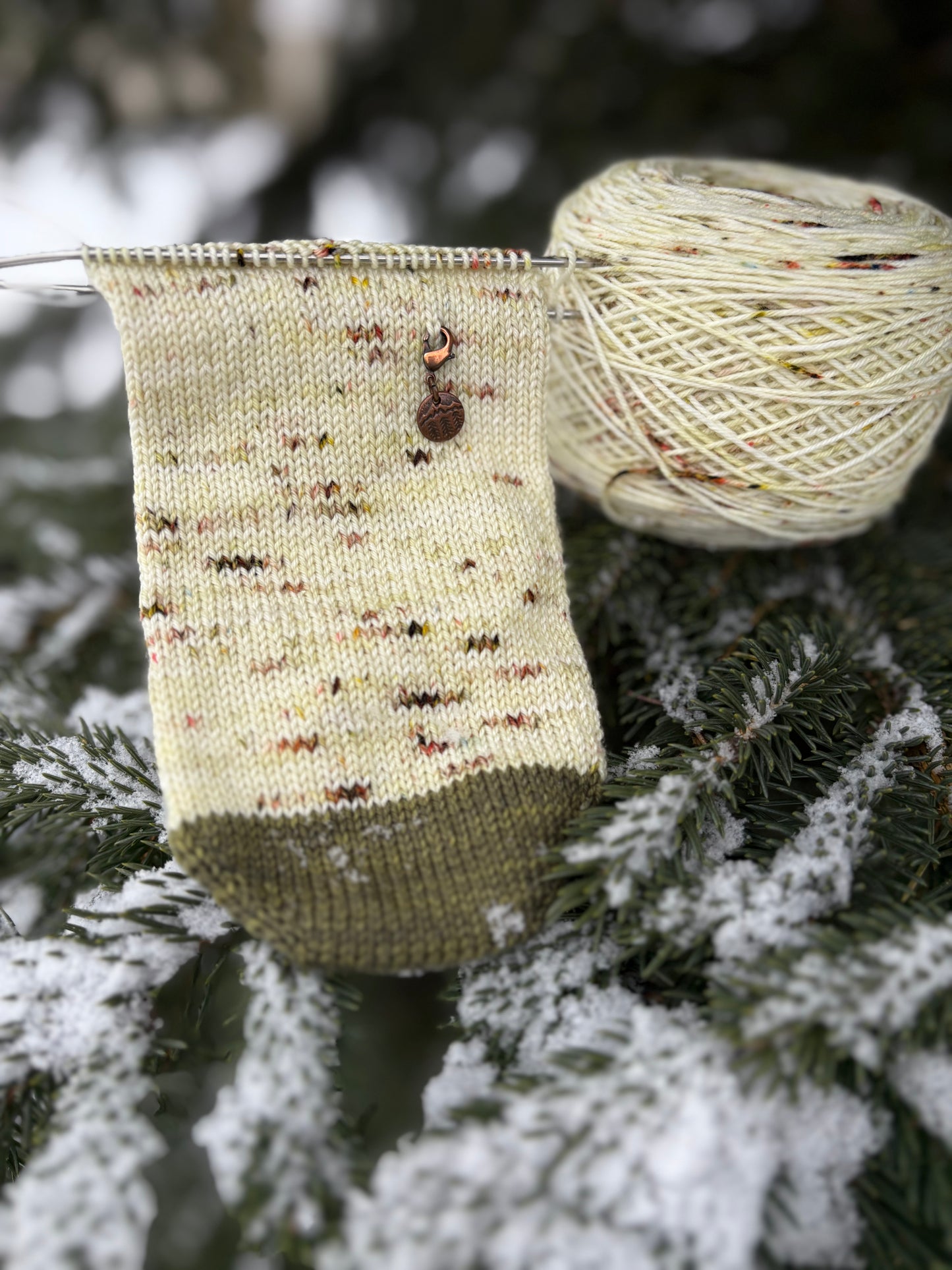 Winter Woods Sock Set - Fingering