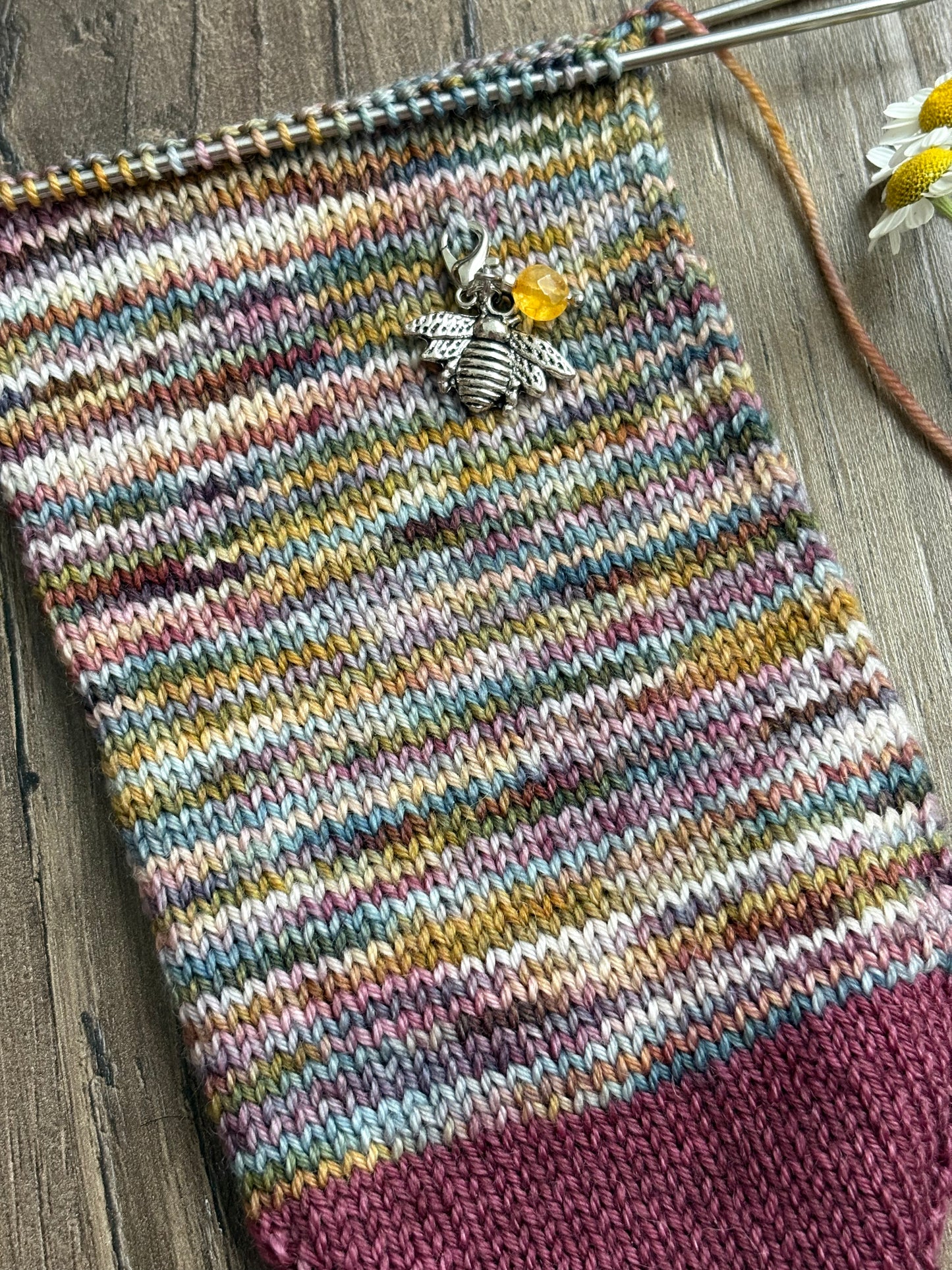 Sun Kissed Sock Set - Fingering