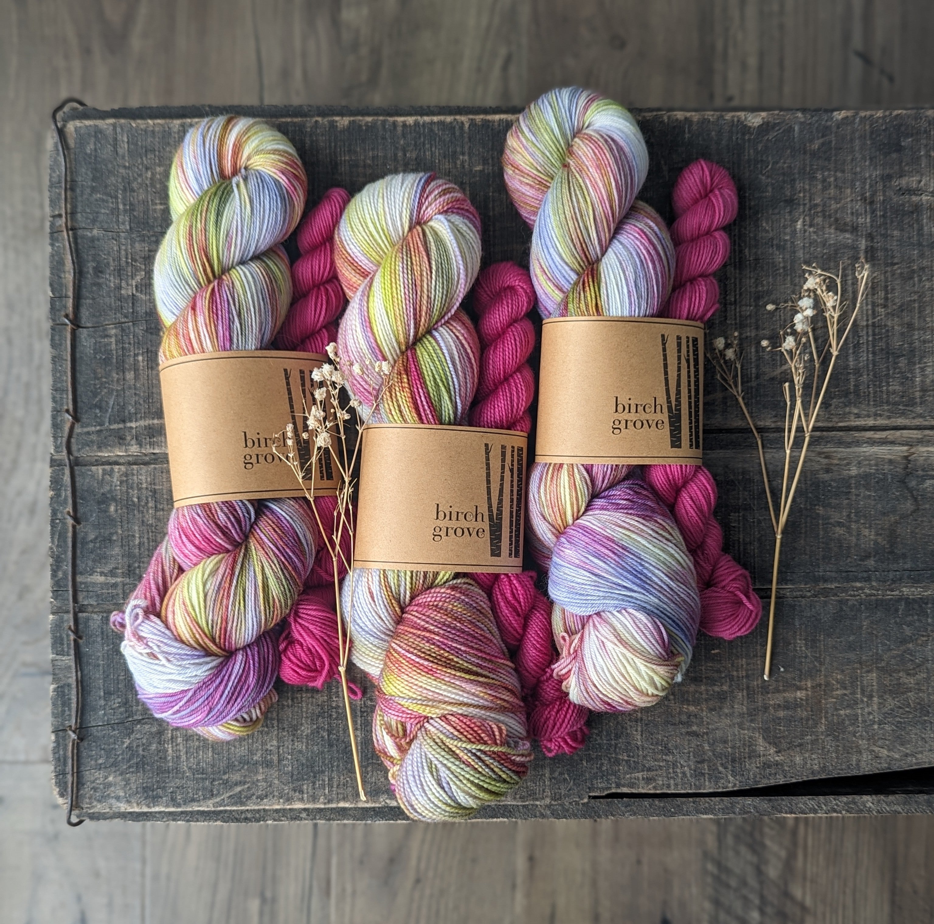 Secret Garden Sock Set - Fingering – Birch Grove By Kristina