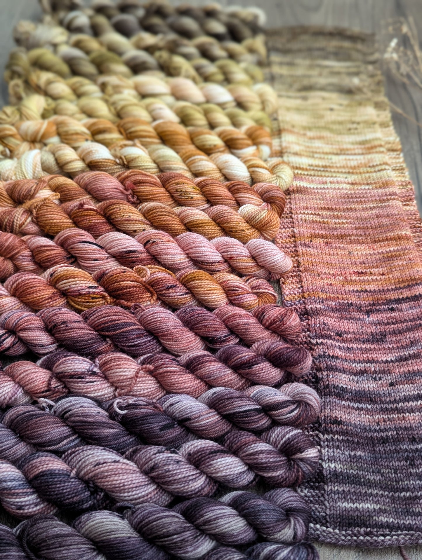 Autumn Fade Mini Skein Set