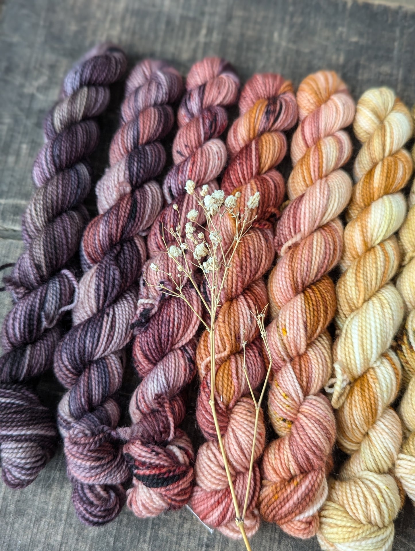 Autumn Fade Mini Skein Set