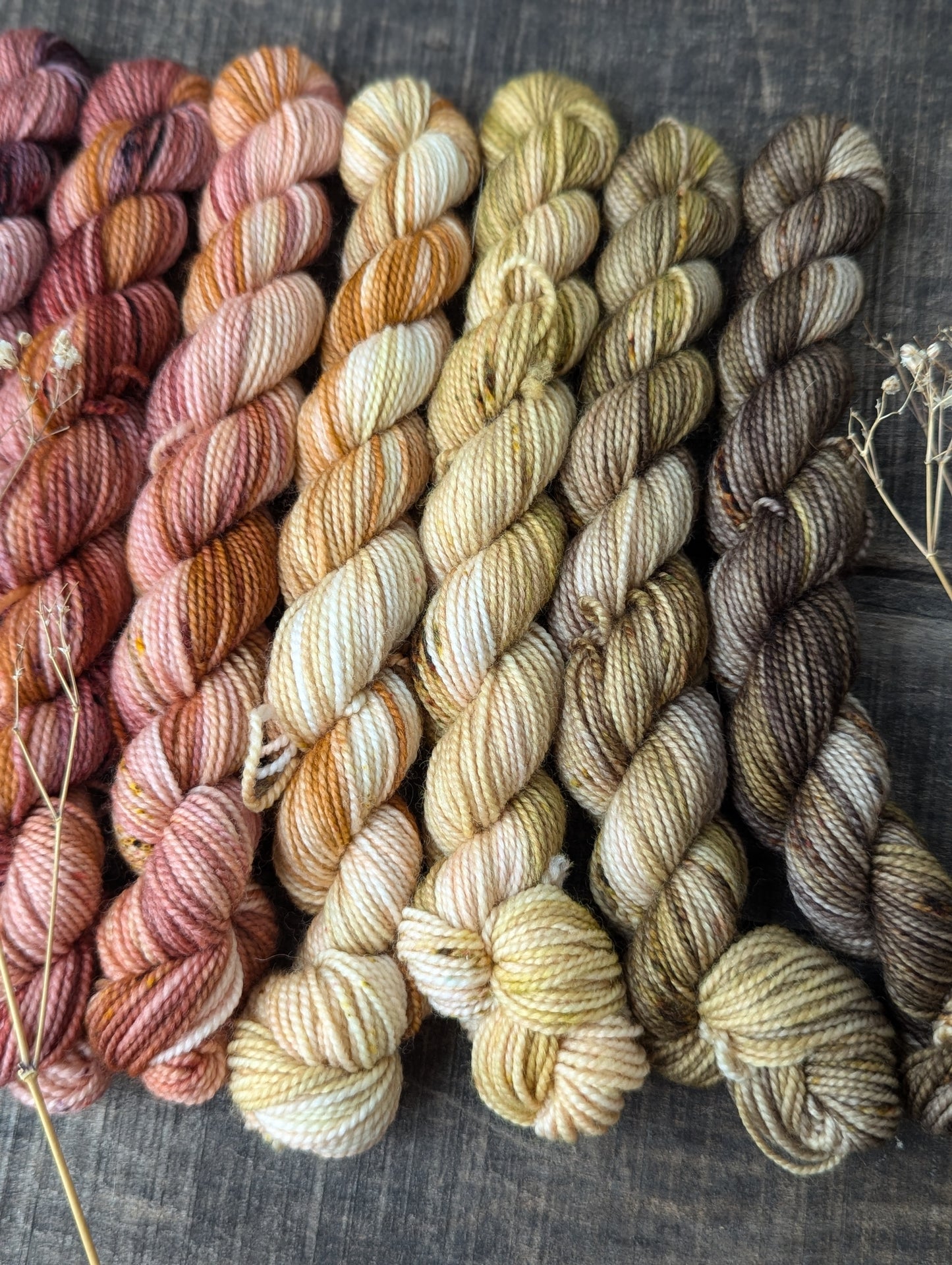 Autumn Fade Mini Skein Set