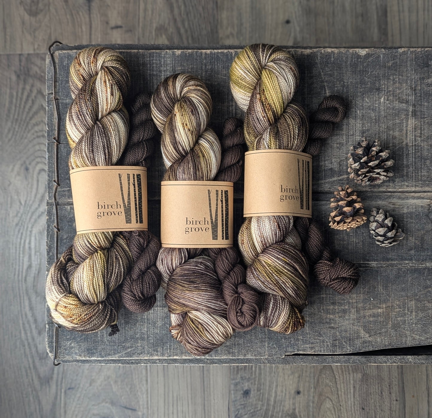 Golden Oak Sock Set - Fingering