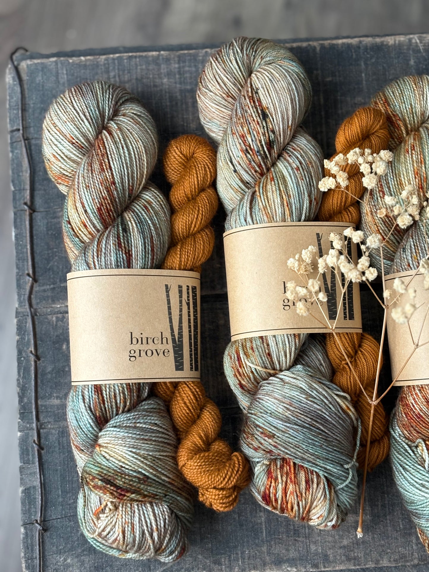 Understory Sock Set - Fingering