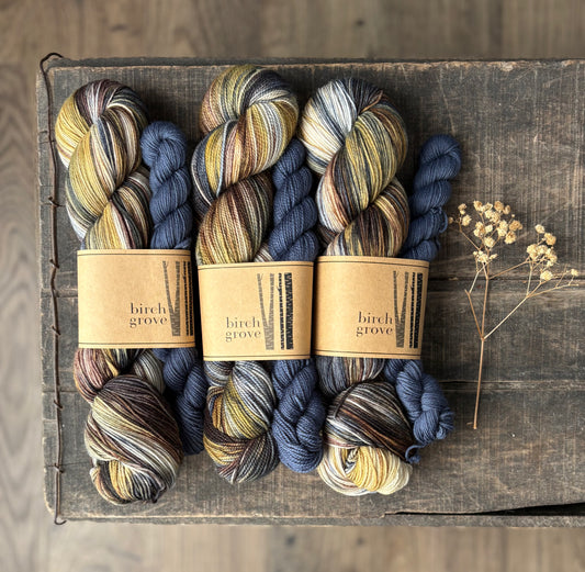 Forage Sock Set - Fingering