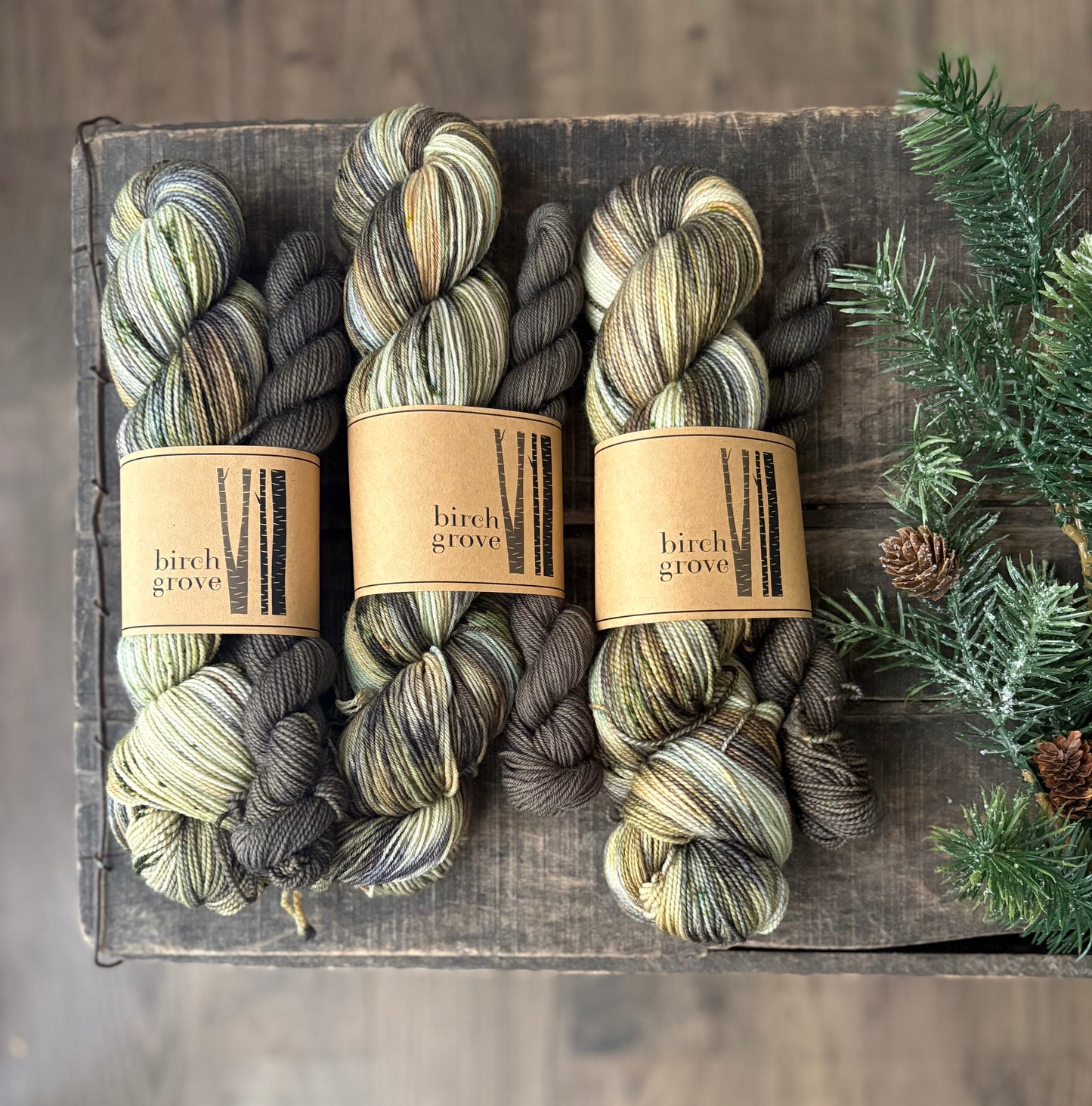 Forest Floor Sock Set - Fingering