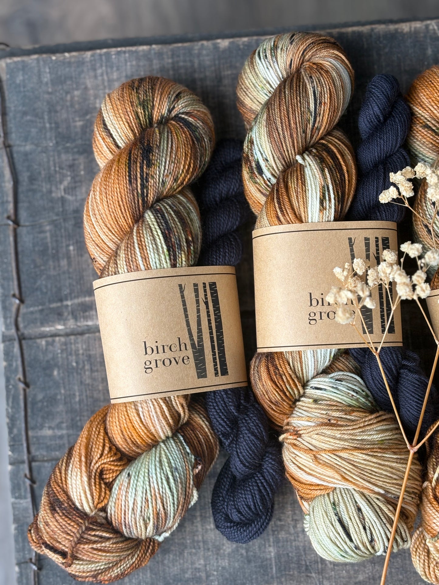 Pumpkin Patch Sock Set - Fingering