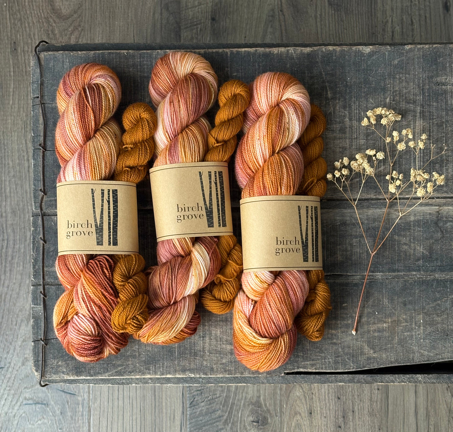 Autumn Blush Sock Set - Fingering