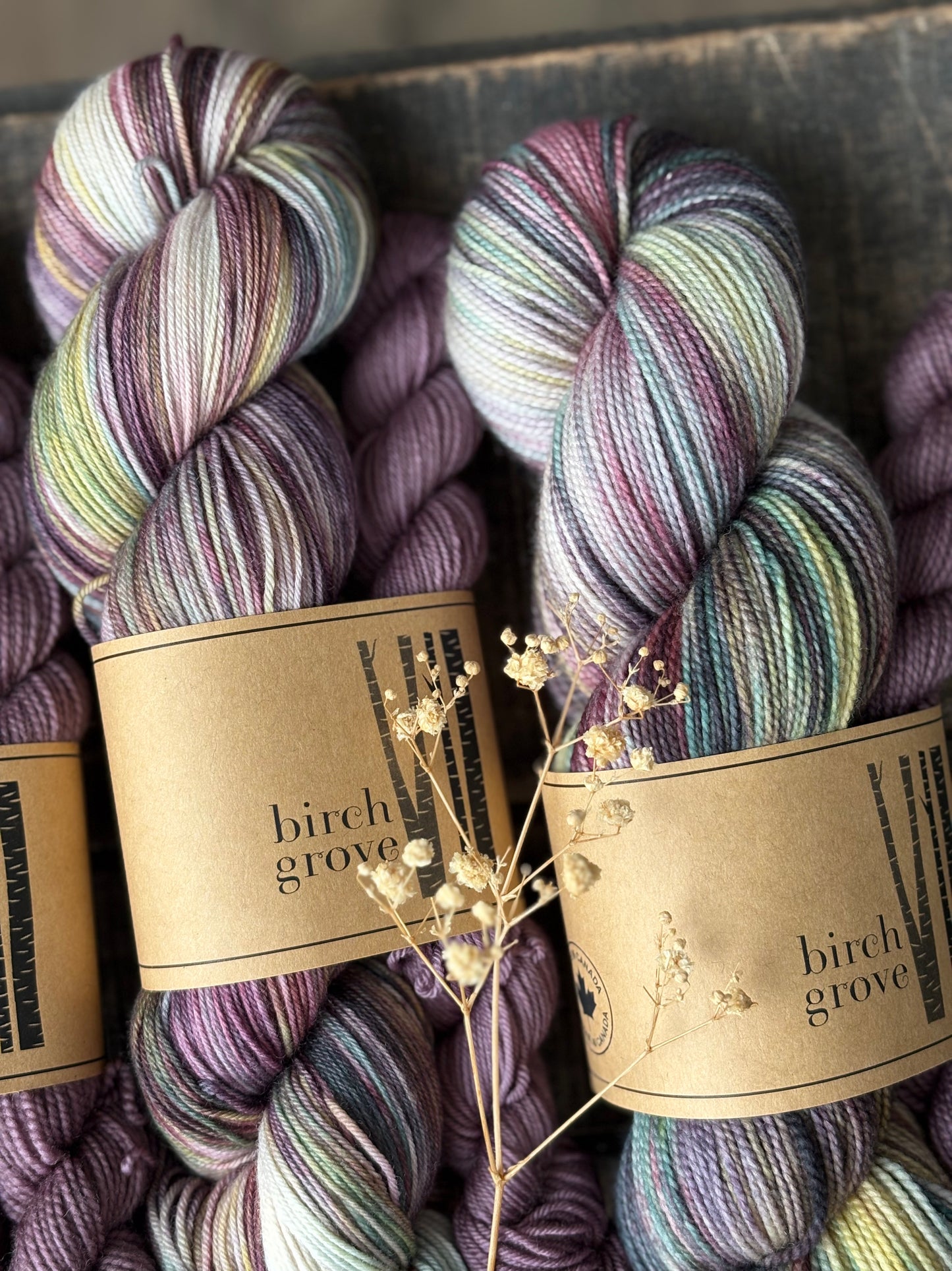 Wildflowers Sock Set - Fingering