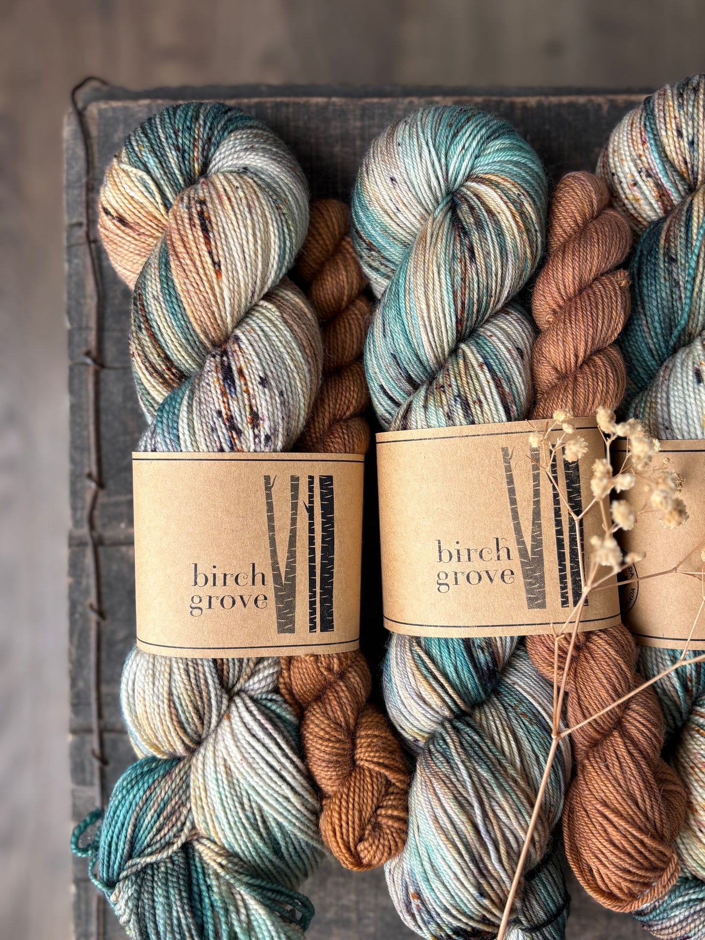 Vista Sock Set - Fingering