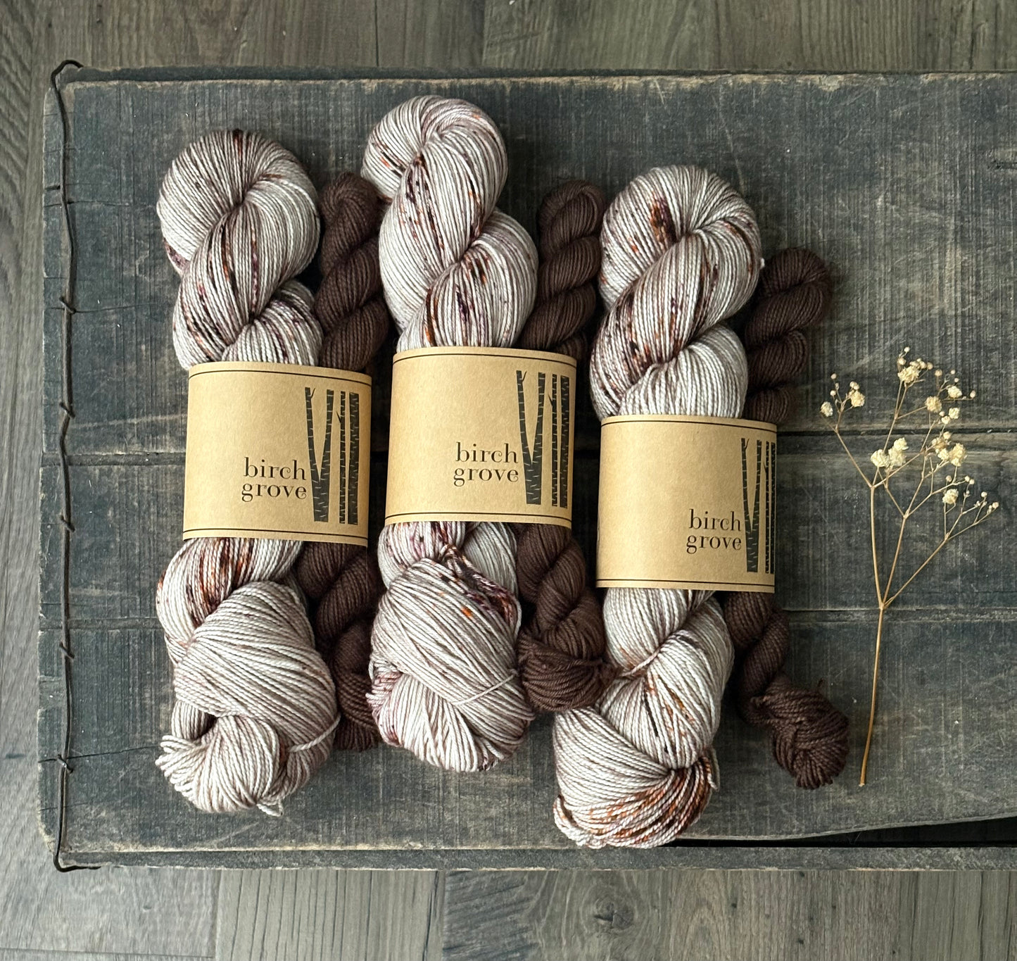 Cabin Sock Set - Fingering