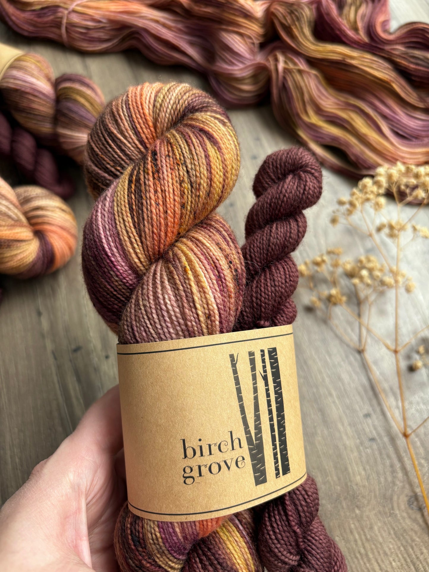 Bramble Sock Set - Fingering