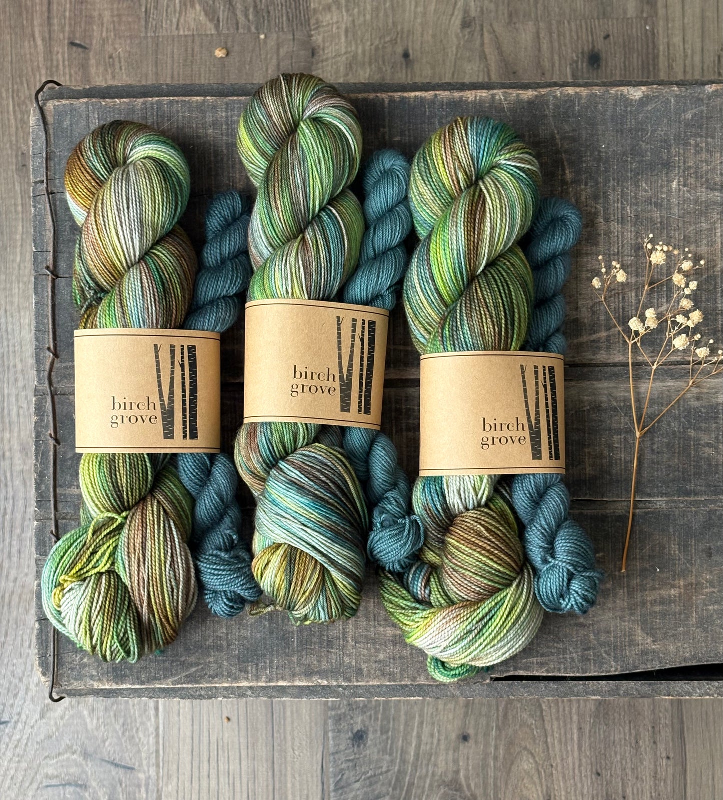 Fern Sock Set - Fingering