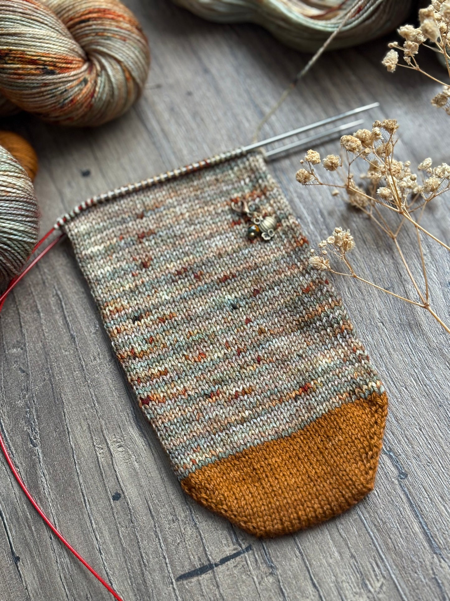 Understory Sock Set - Fingering