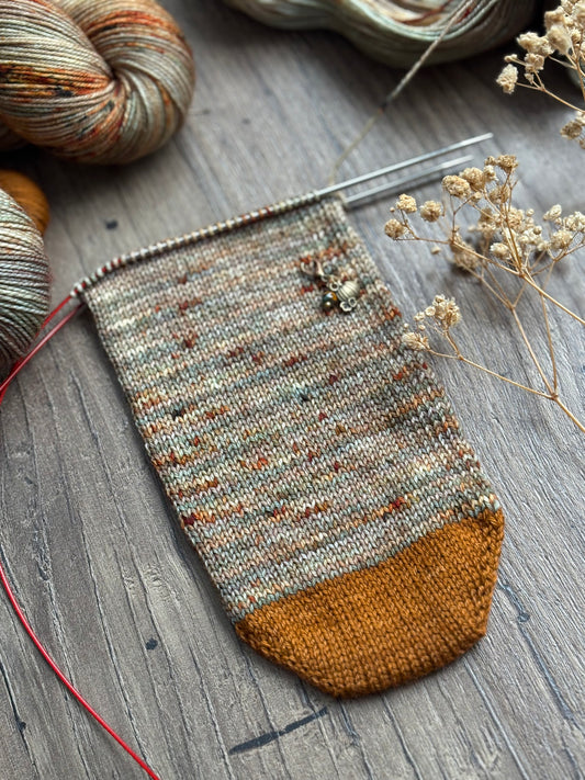 Understory Sock Set - Fingering