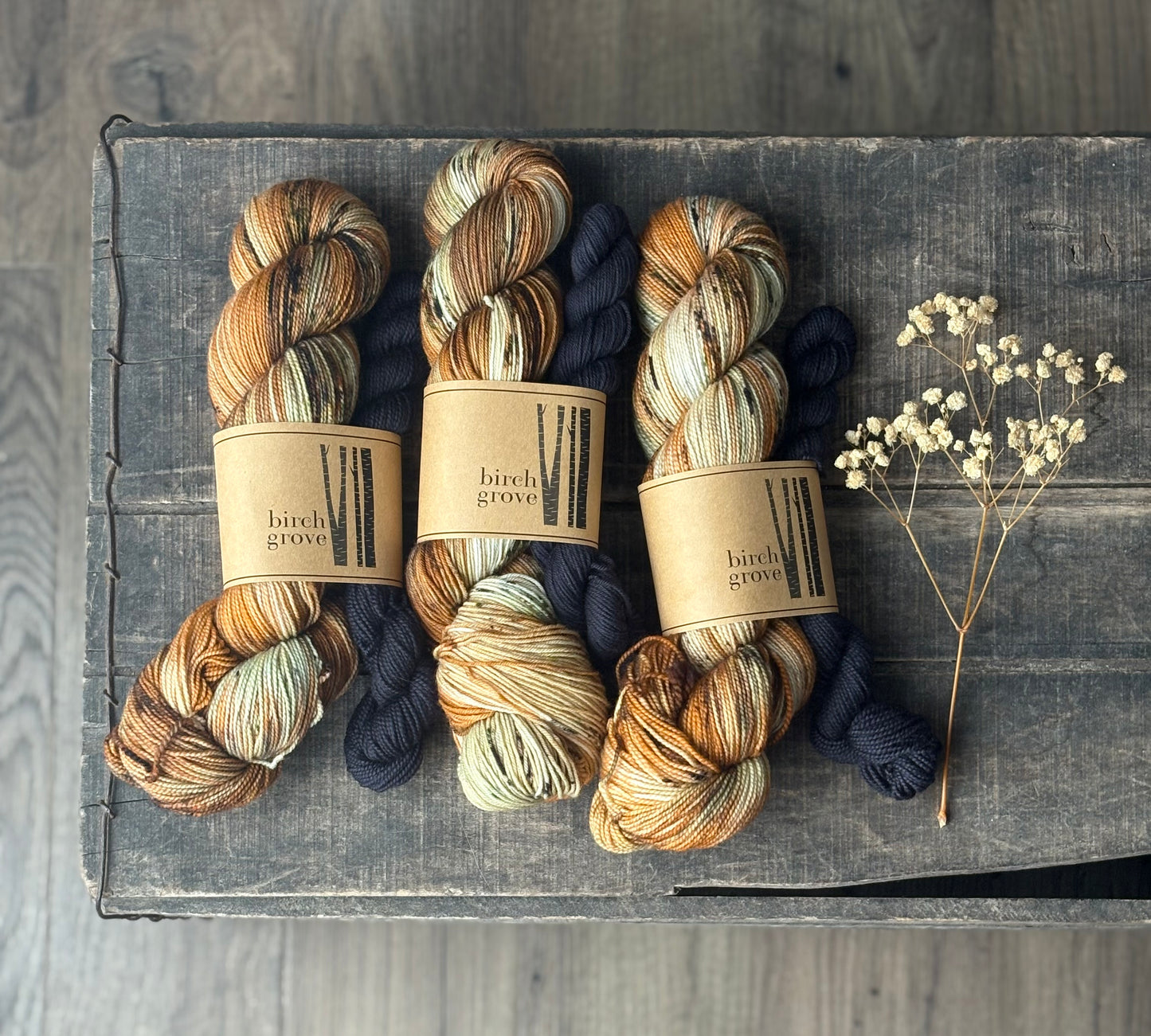 Pumpkin Patch Sock Set - Fingering