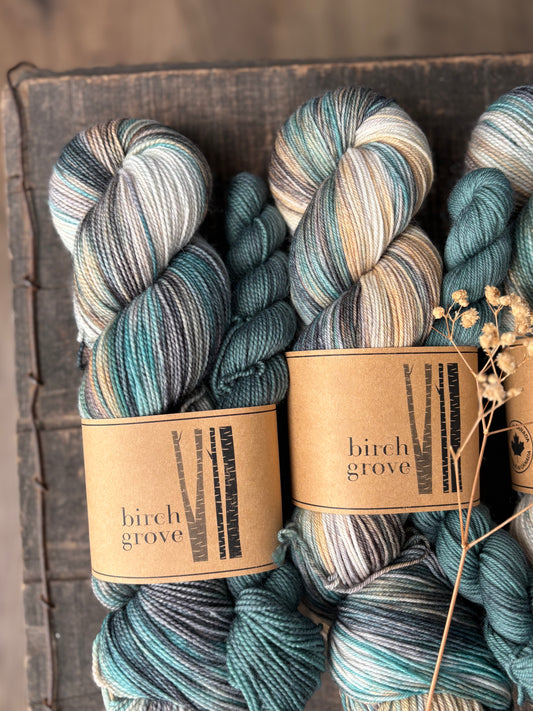 Lakeside Sock Set - Fingering