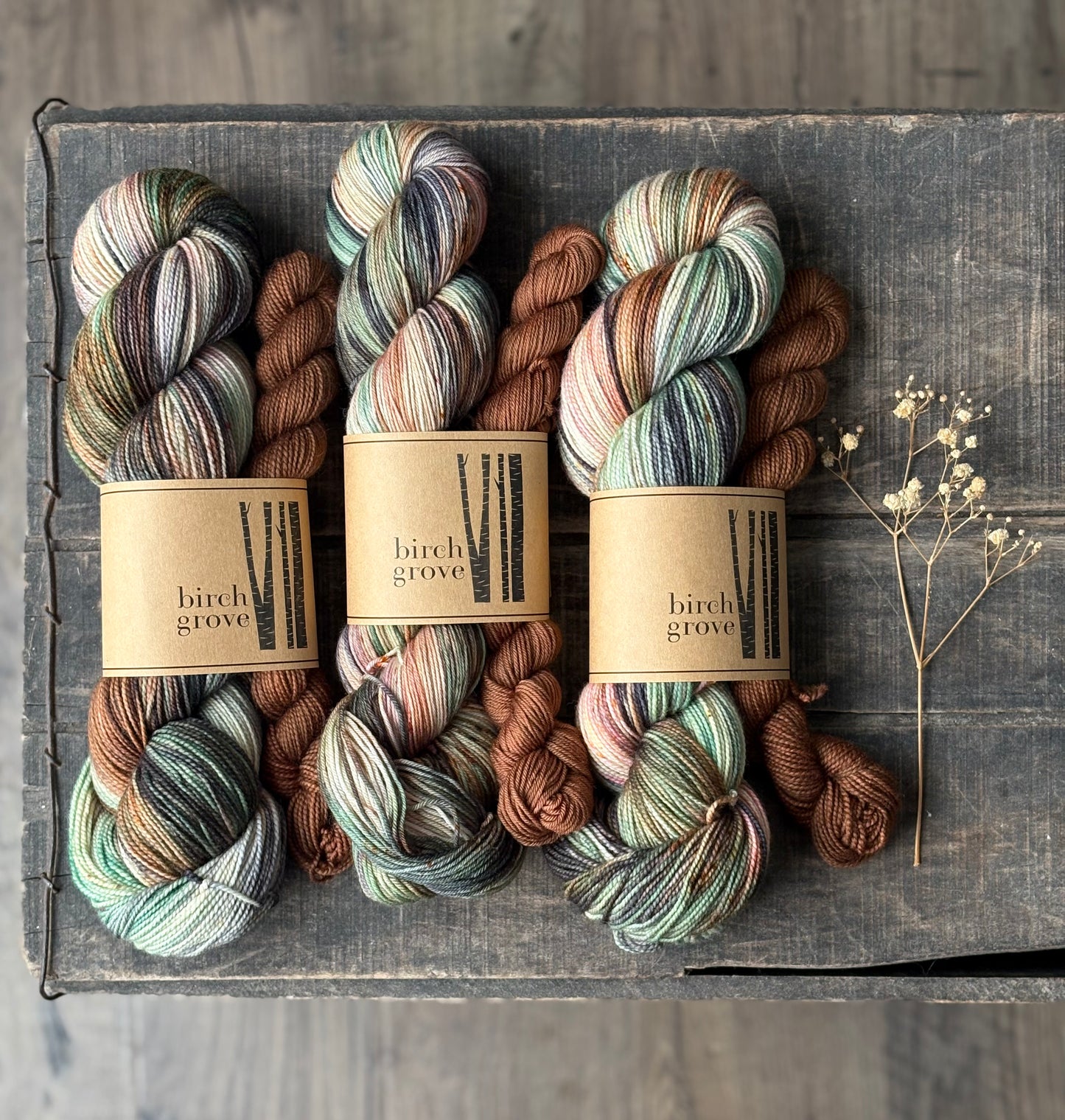 Wildwood Sock Set - Fingering