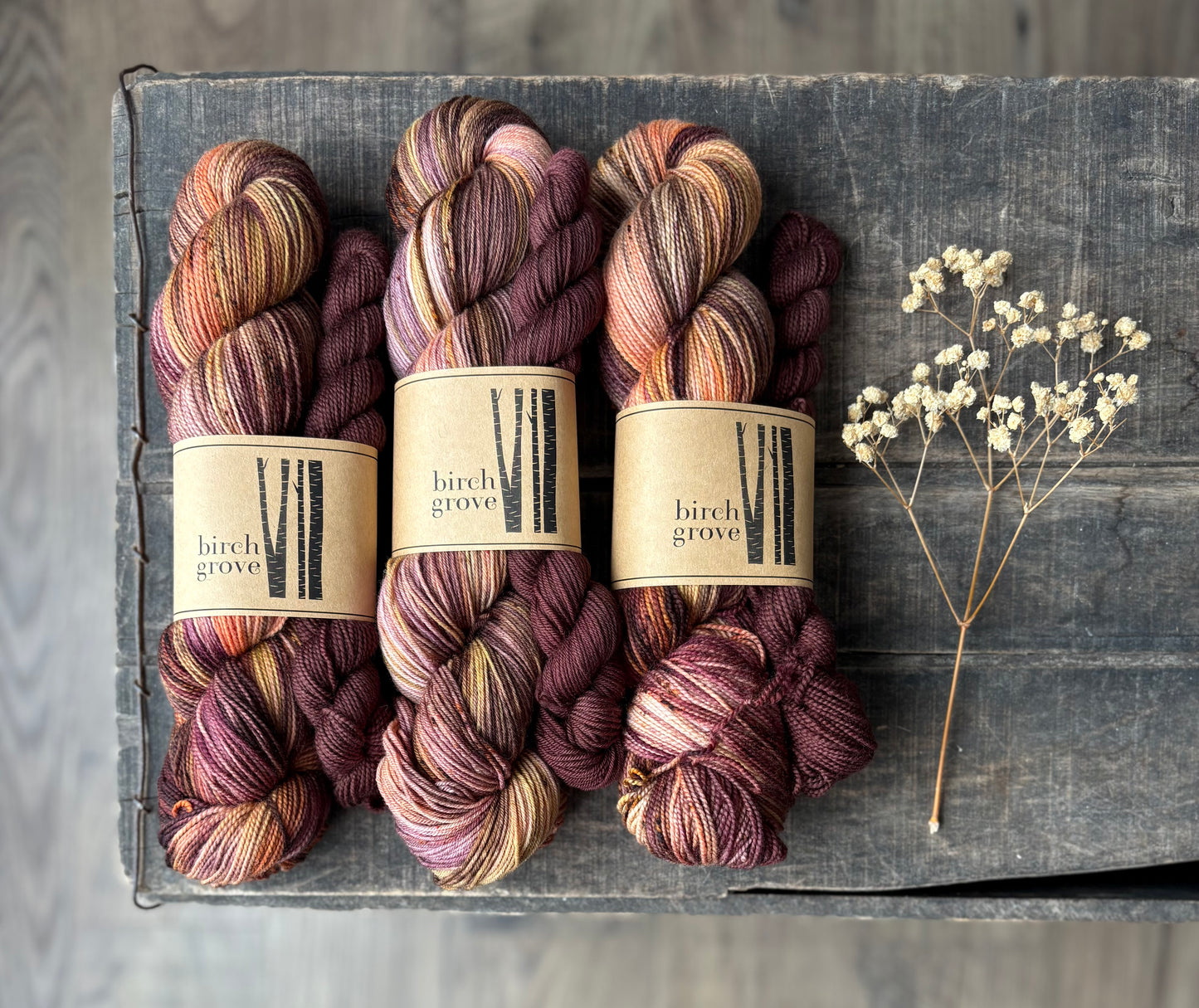 Bramble Sock Set - Fingering