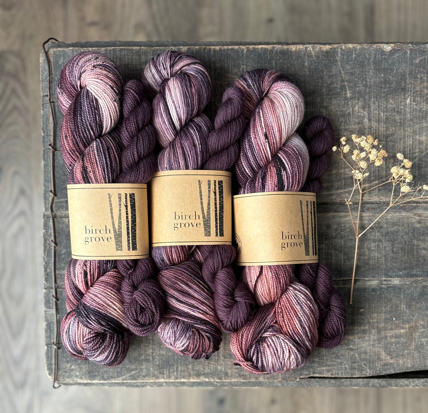 Harvest Berry Sock Set - Fingering