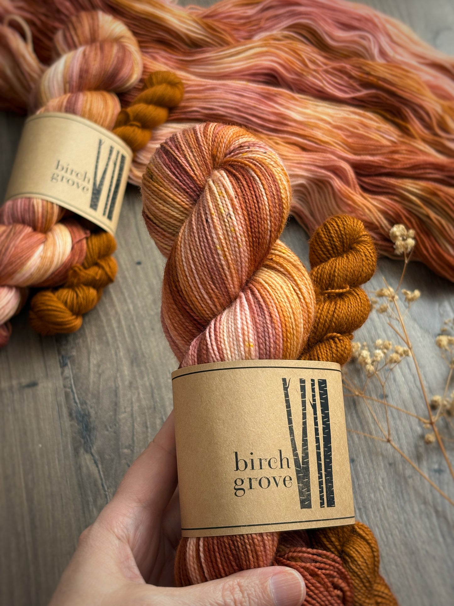 Autumn Blush Sock Set - Fingering