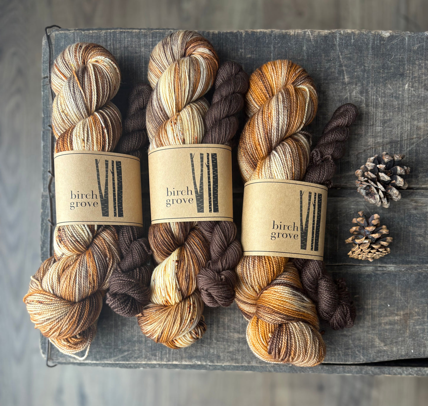 Bonfire Sock Set - Fingering