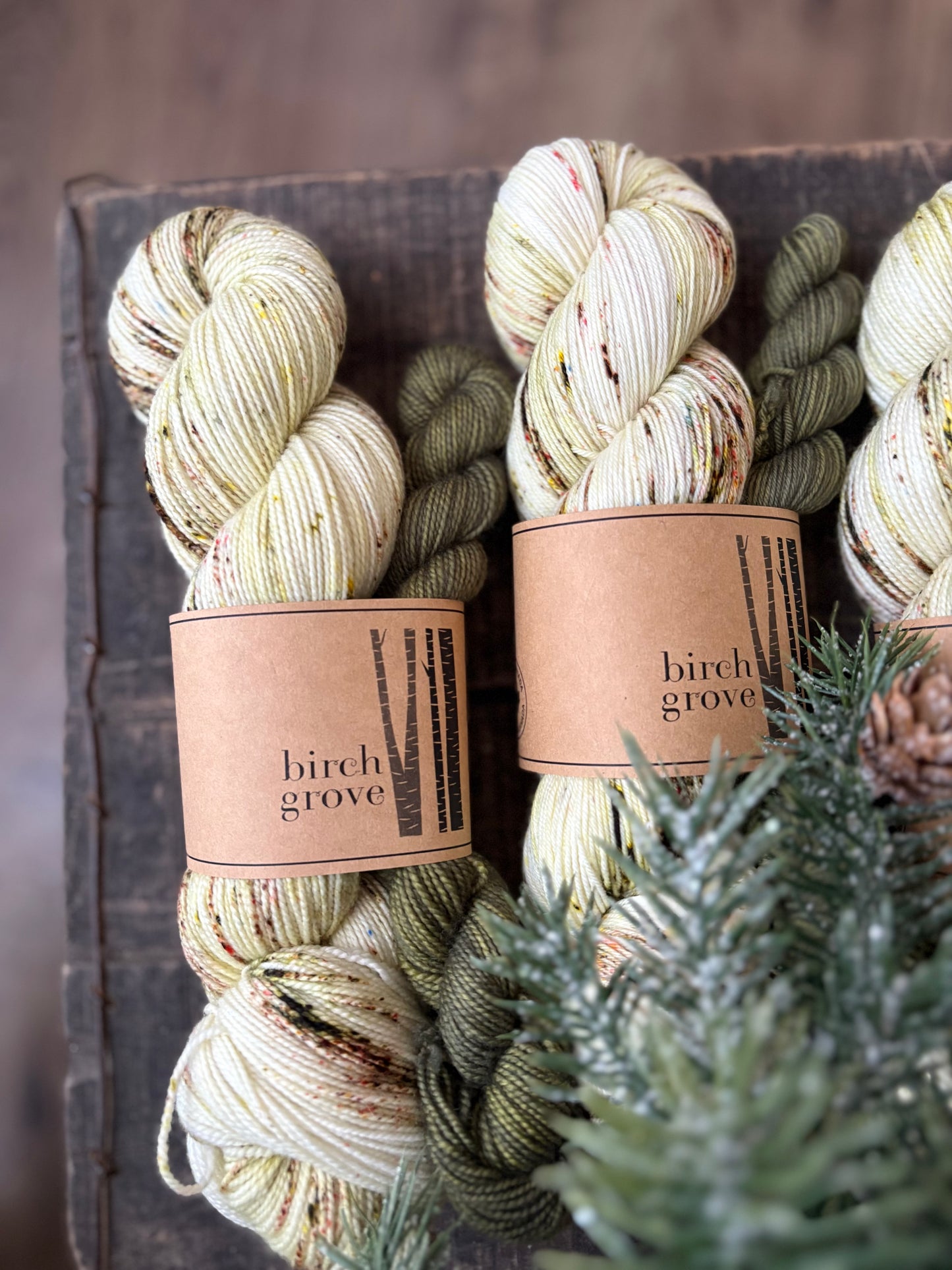 Winter Woods Sock Set - Fingering