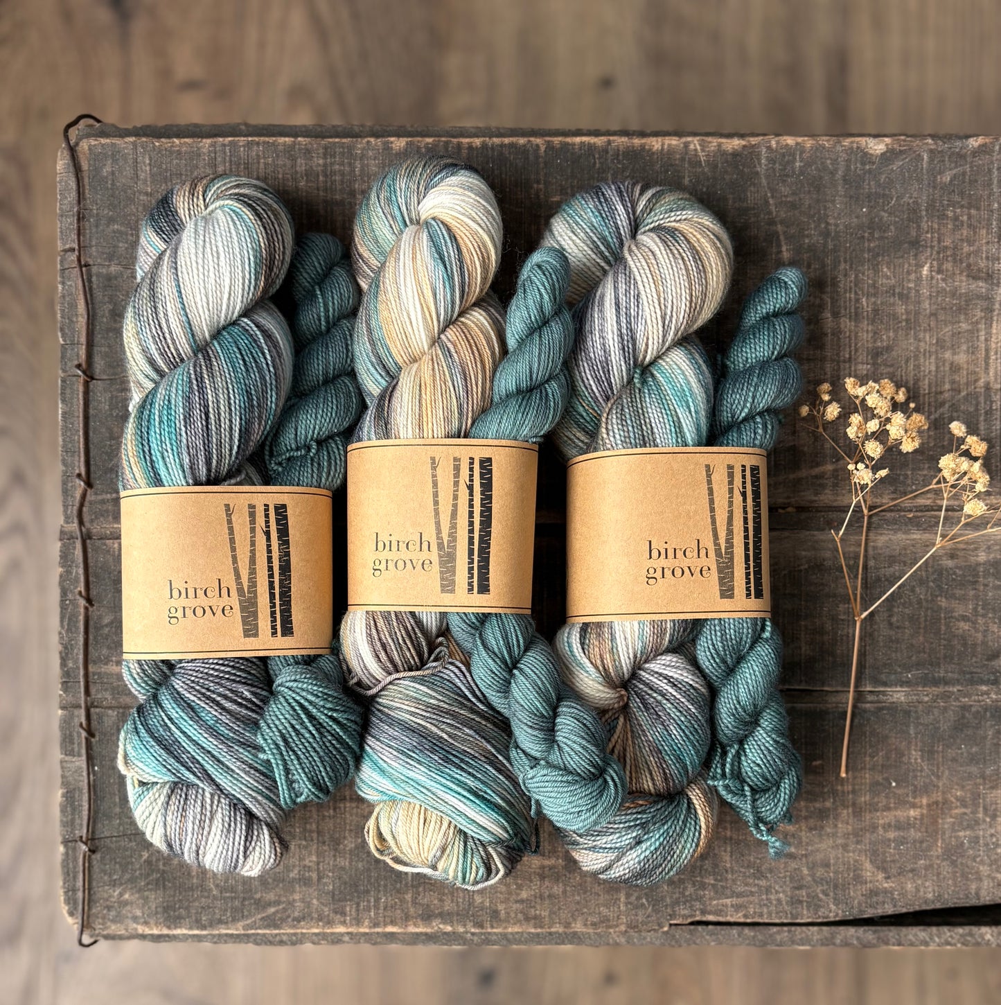 Lakeside Sock Set - Fingering