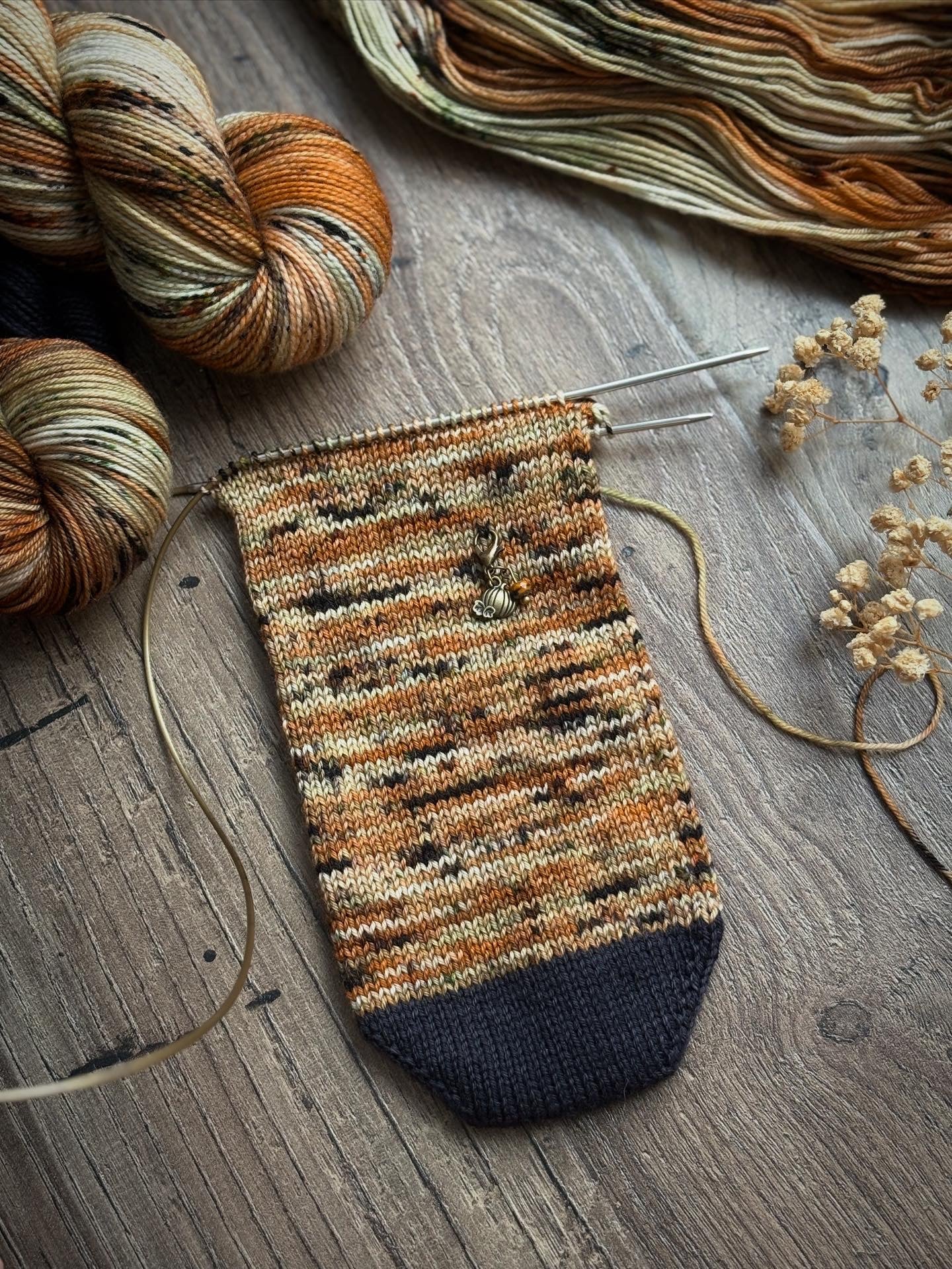 Pumpkin Patch Sock Set - Fingering