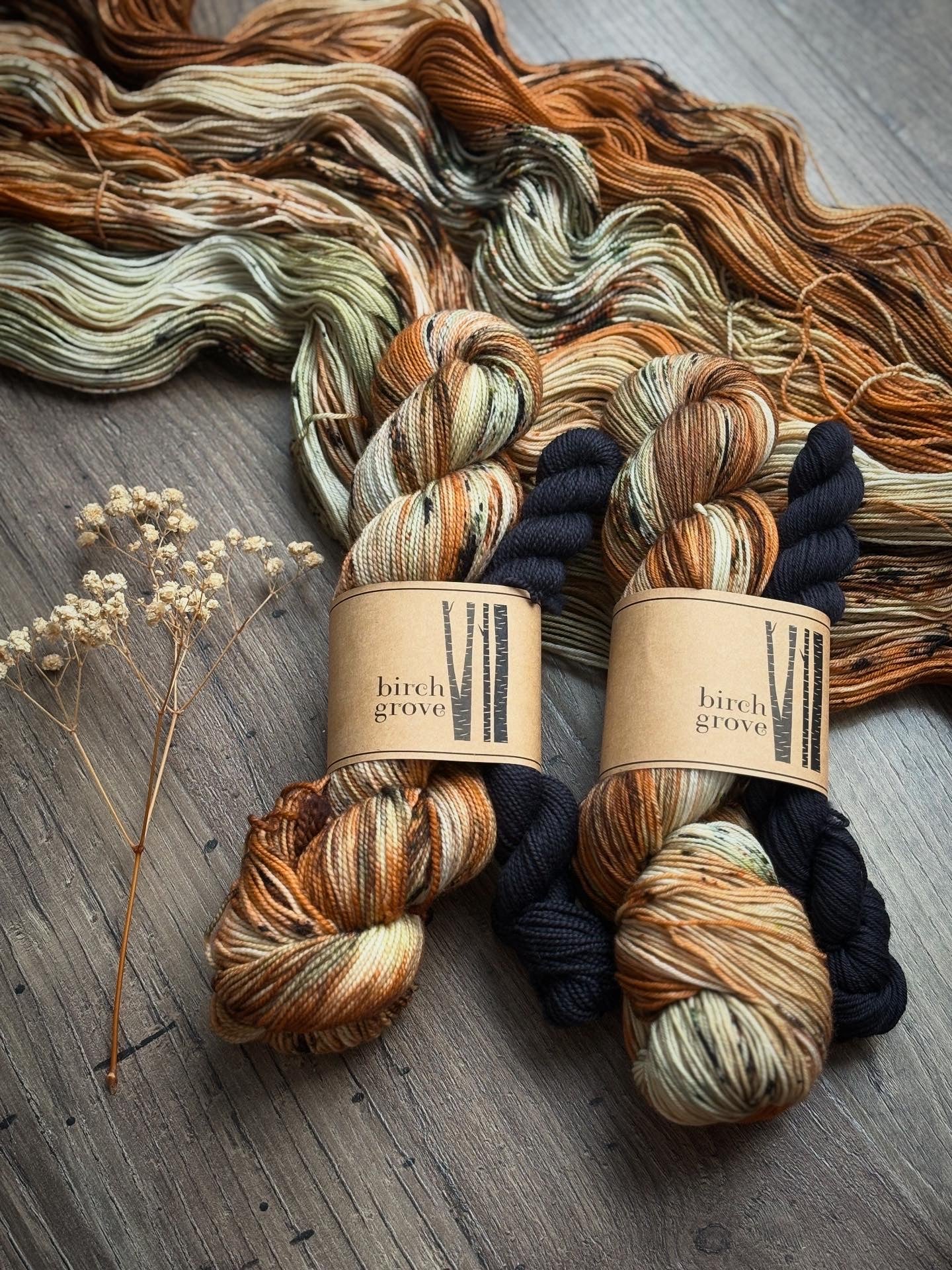 Pumpkin Patch Sock Set - Fingering