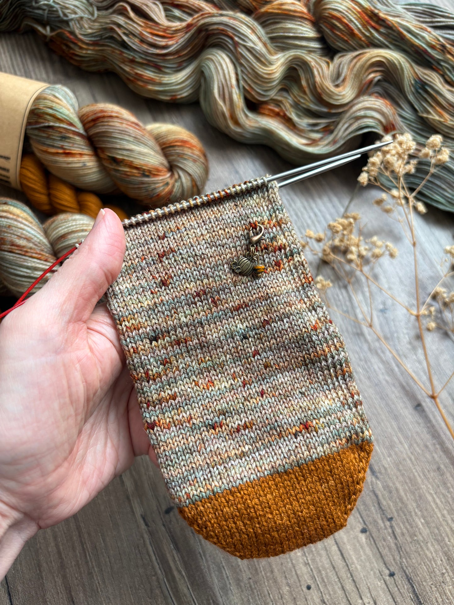 Understory Sock Set - Fingering