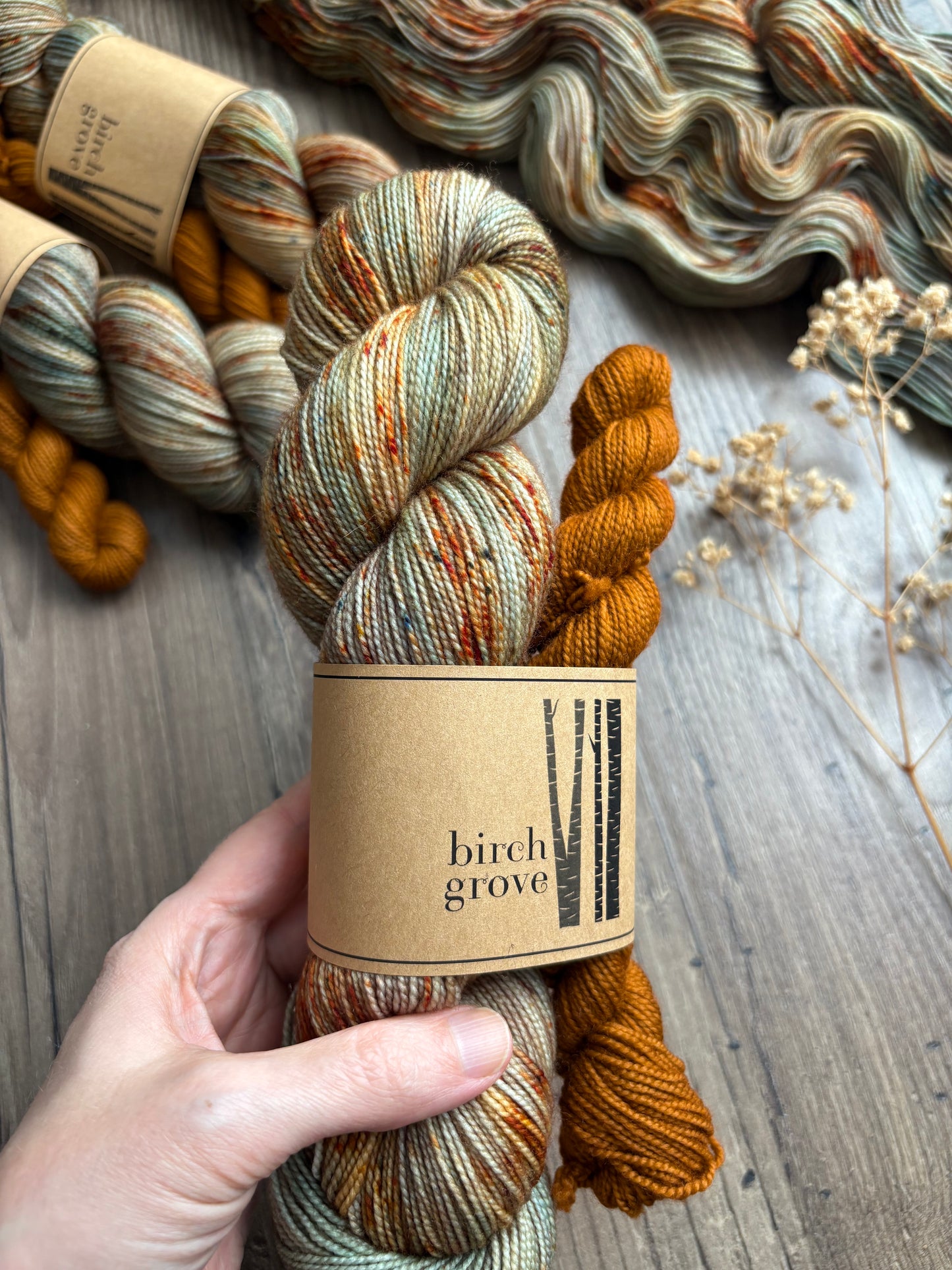 Understory Sock Set - Fingering