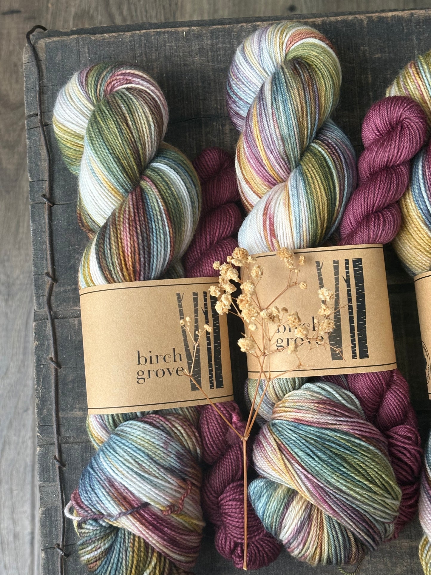 Sun Kissed Sock Set - Fingering