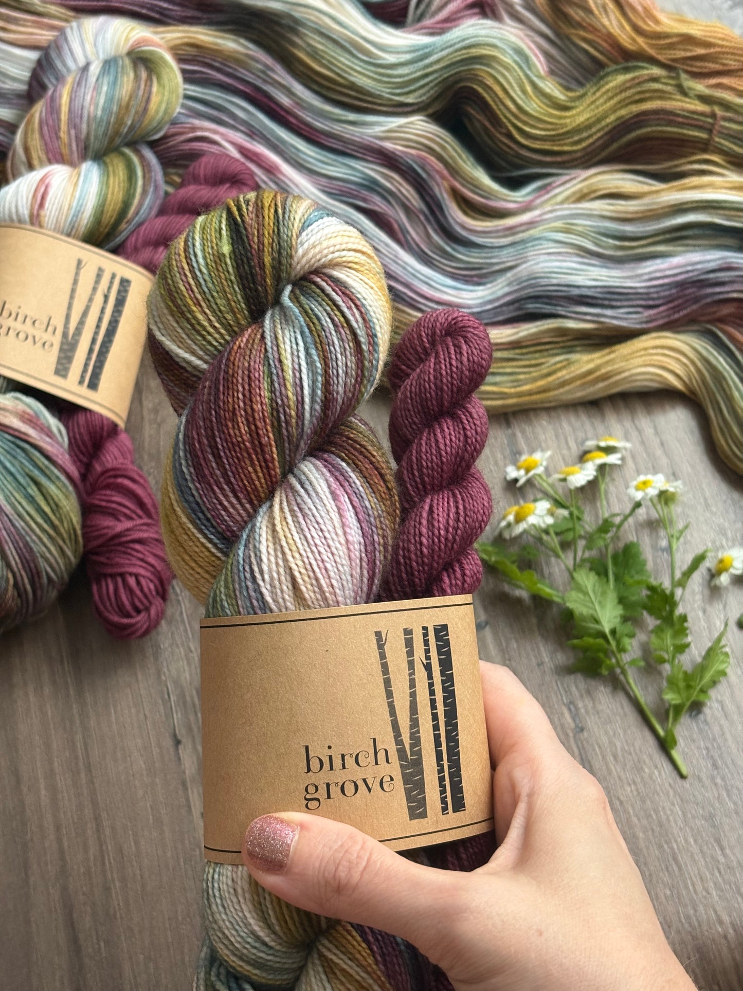 Sun Kissed Sock Set - Fingering