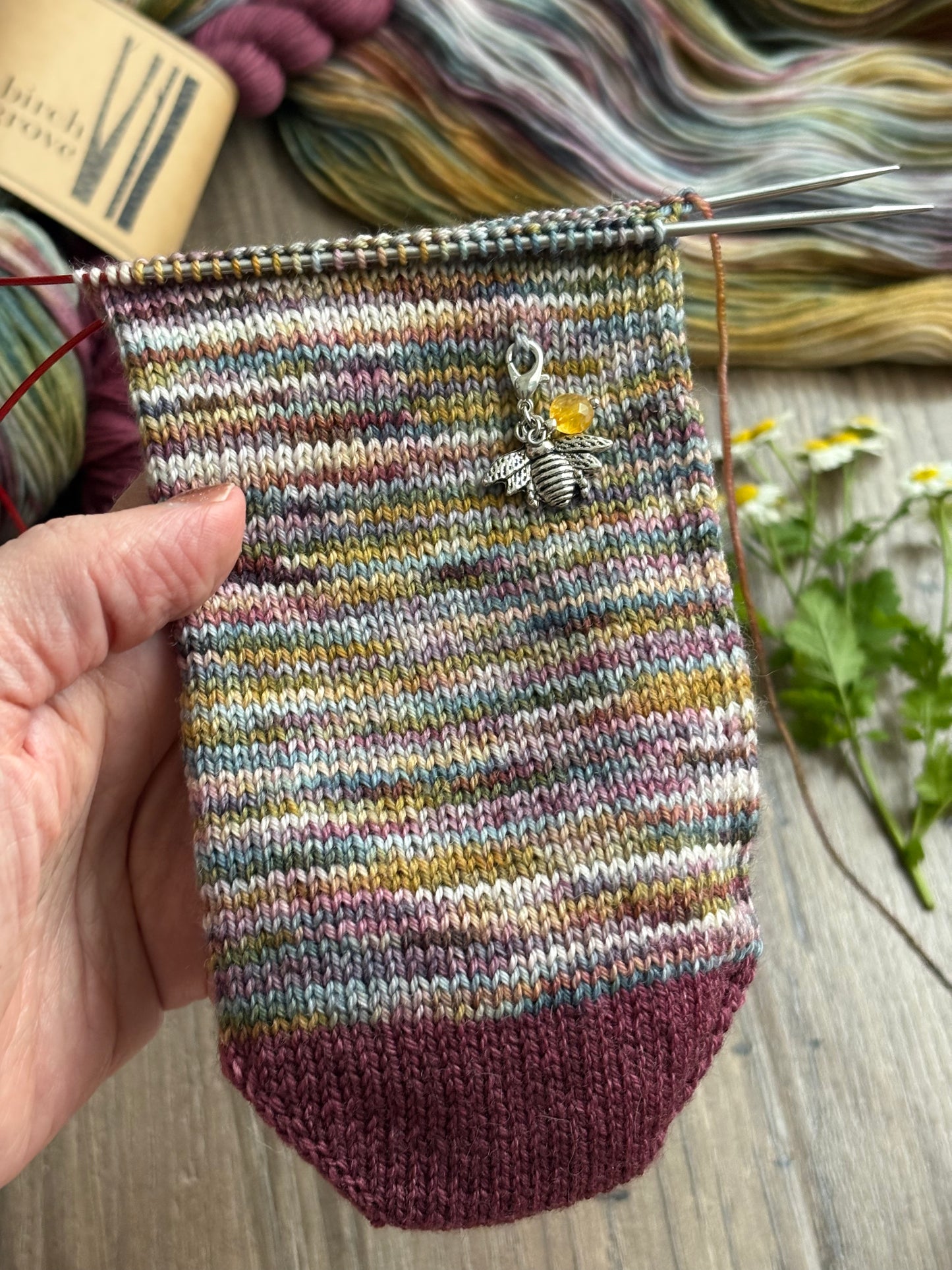Sun Kissed Sock Set - Fingering