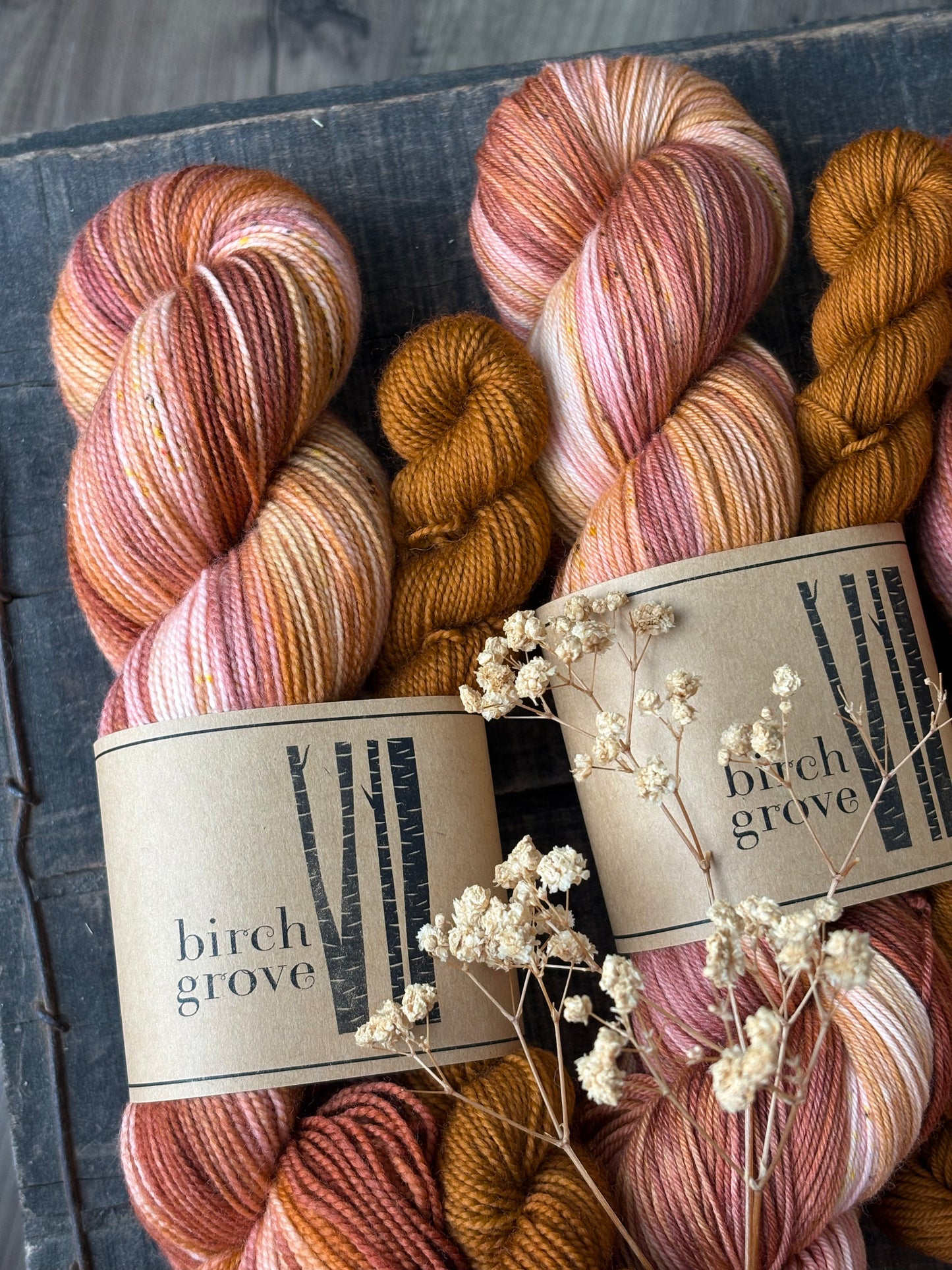 Autumn Blush Sock Set - Fingering