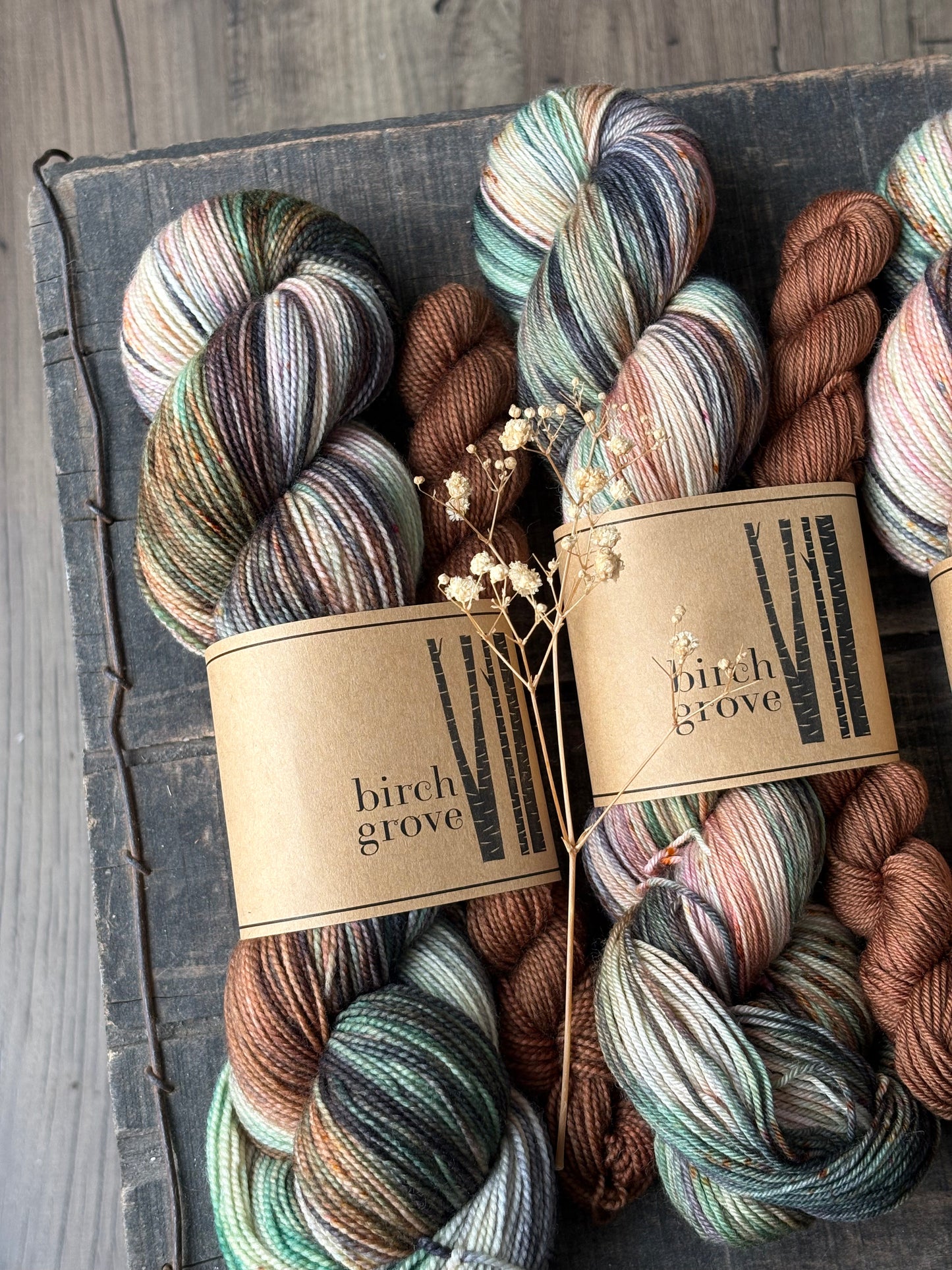 Wildwood Sock Set - Fingering