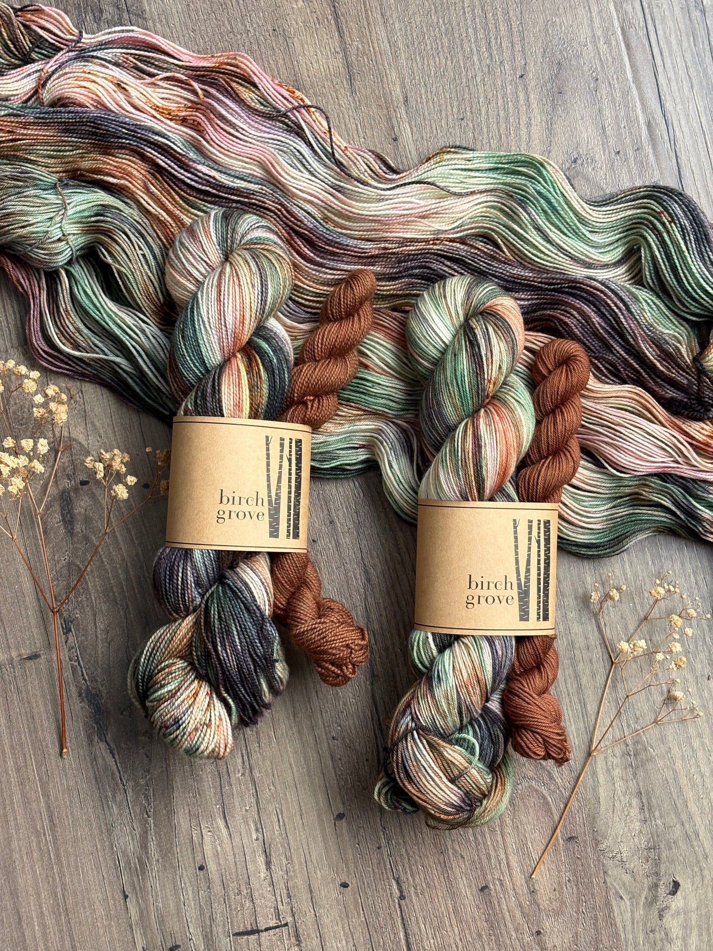 Wildwood Sock Set - Fingering