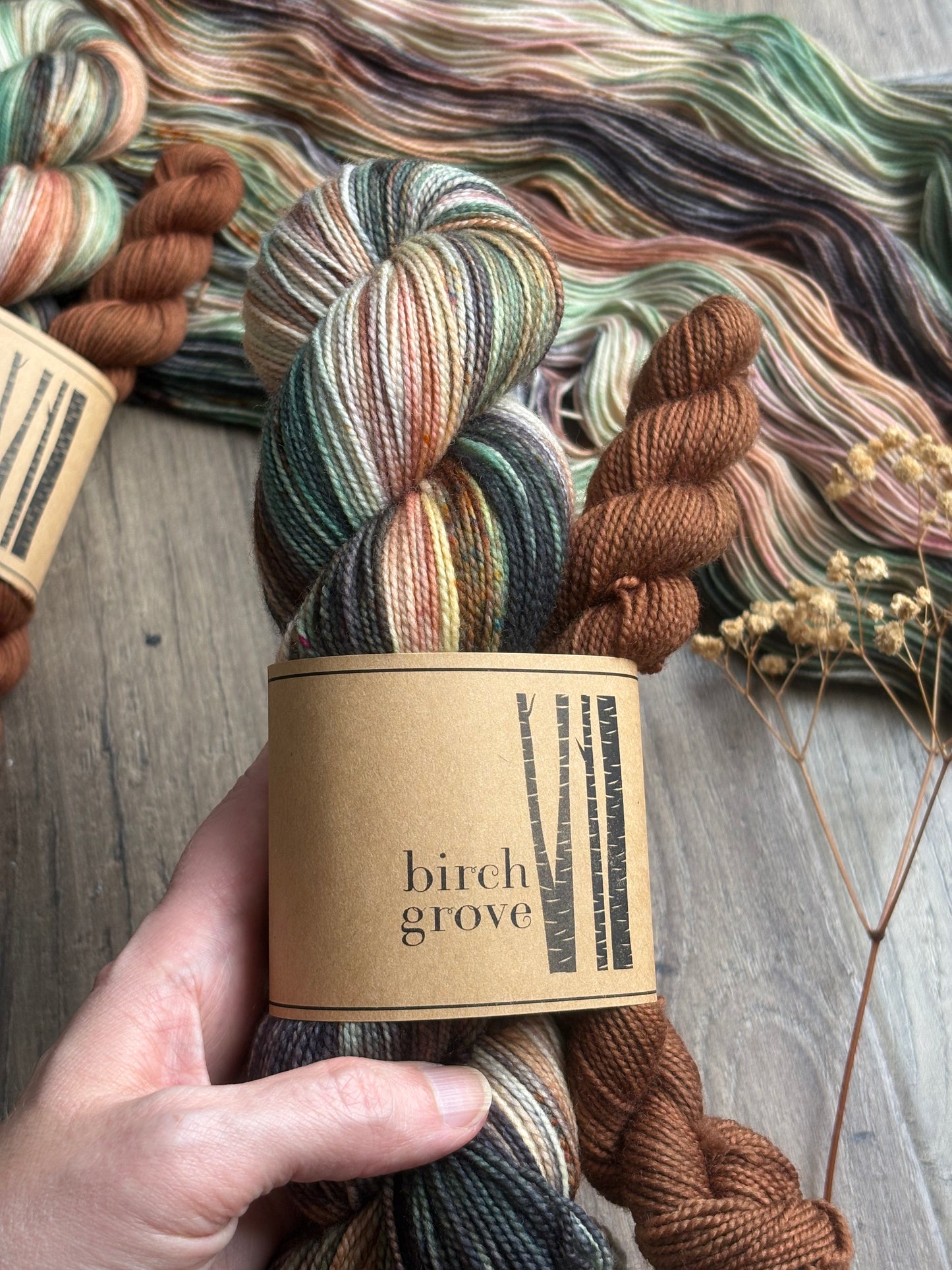 Wildwood Sock Set - Fingering
