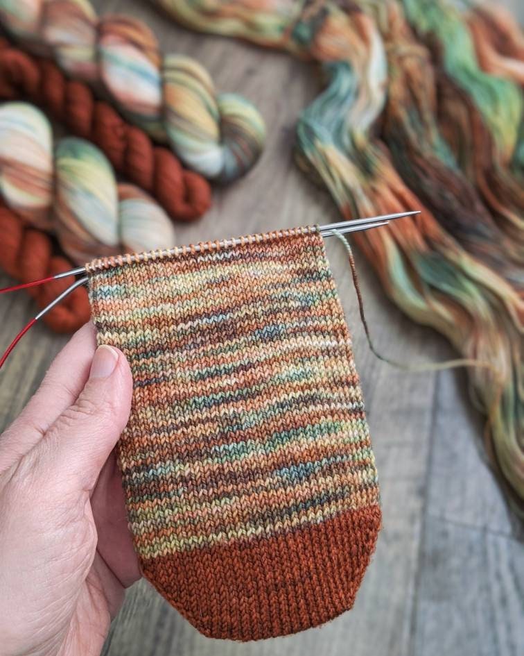 Ensemble de chaussettes Meadow - Fingering