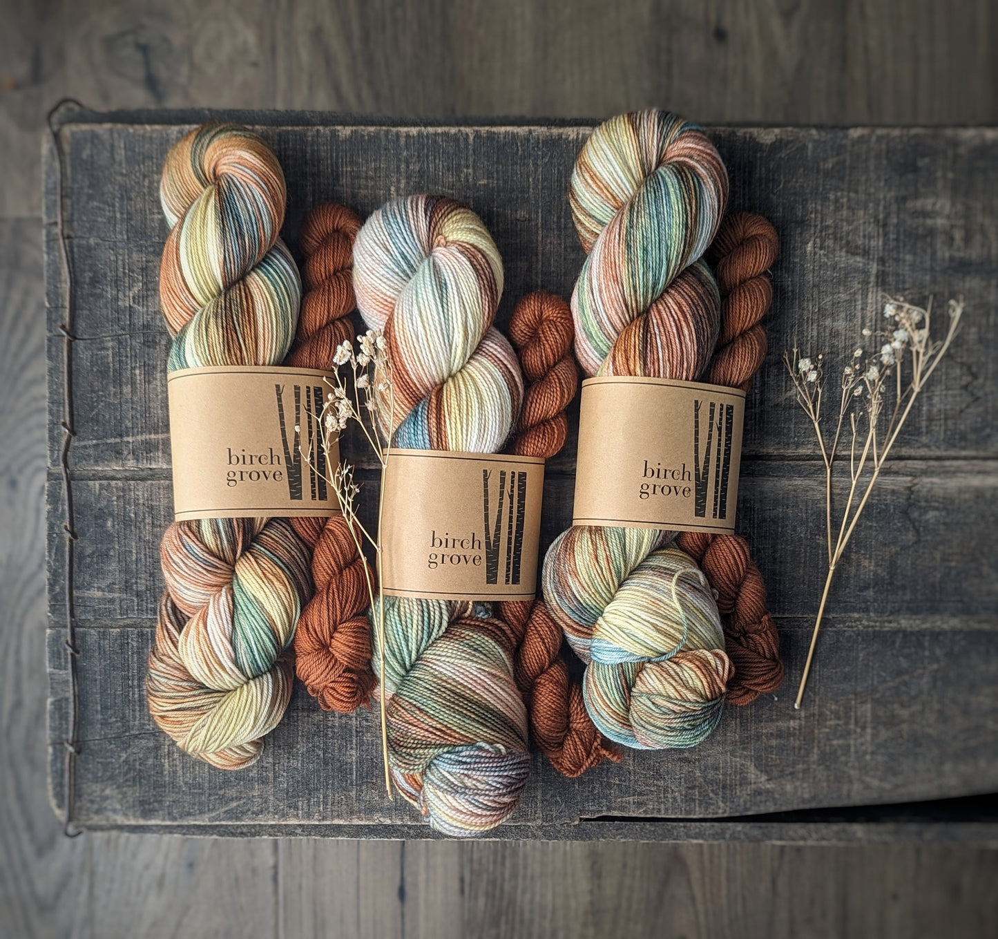 Ensemble de chaussettes Meadow - Fingering