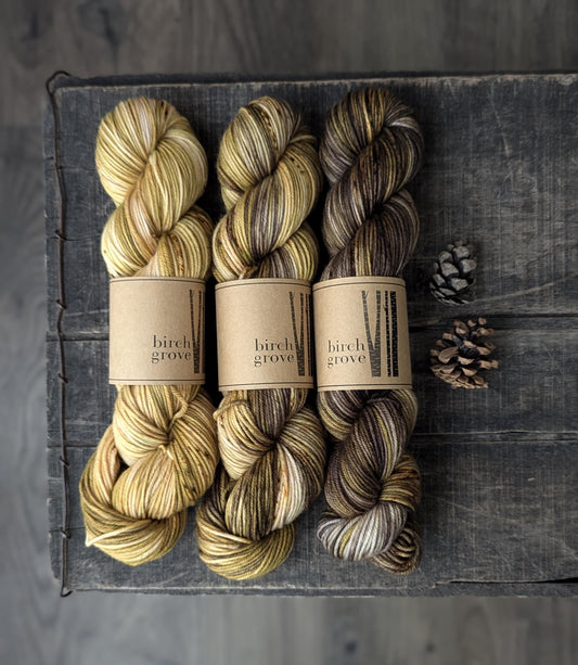 3 Skein Fade Set - DK