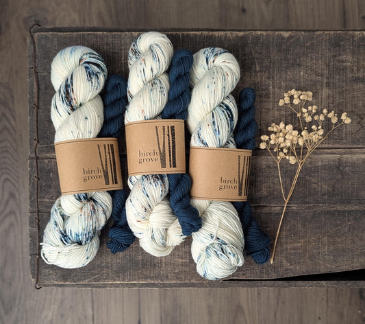 Tapestry Sock Set - Fingering