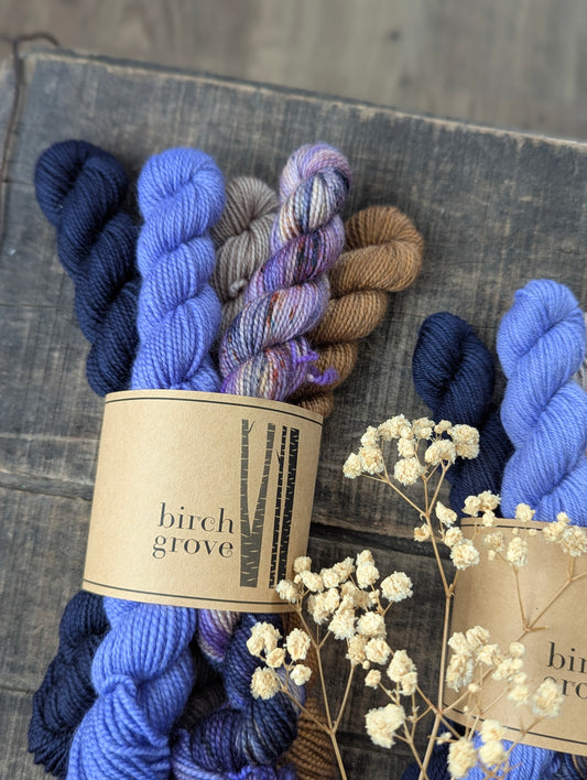 Wild Violet Mini Skein Set