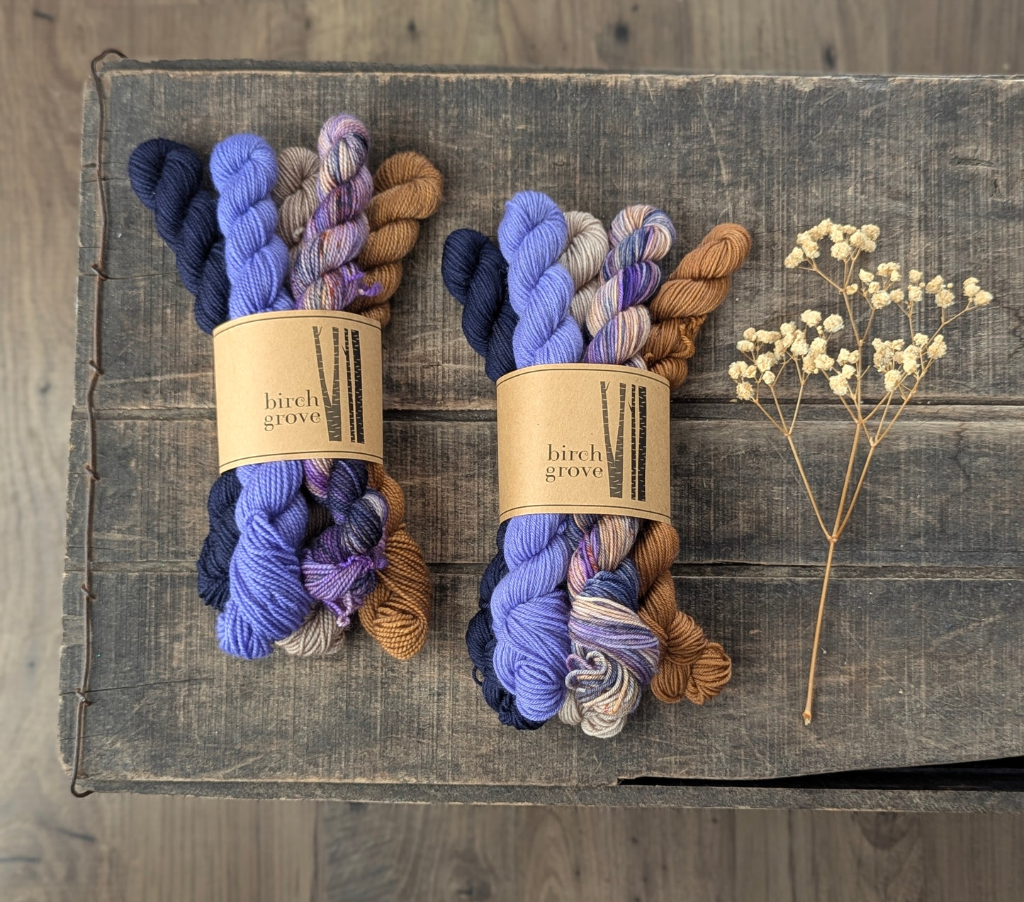 Wild Violet Mini Skein Set